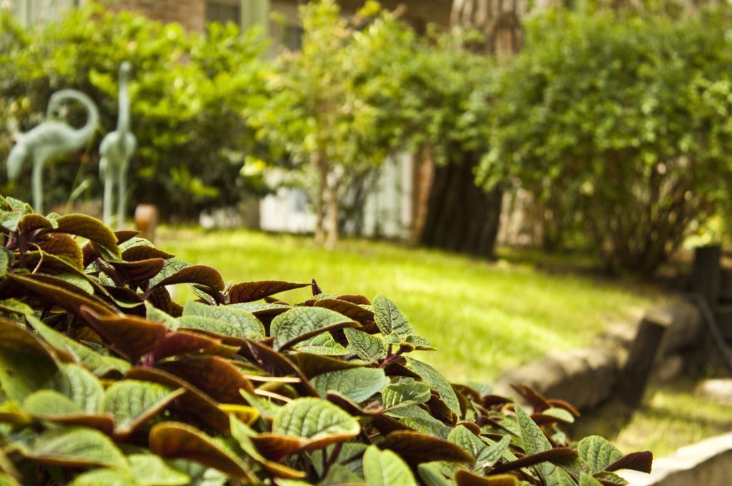 Carilo Village Apart Hotel & Spa Dış mekan fotoğraf
